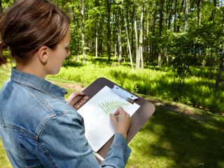 A woman sketching at the edge of the forest at The Lodge at Woodloch