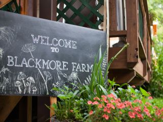Blackmore Farm