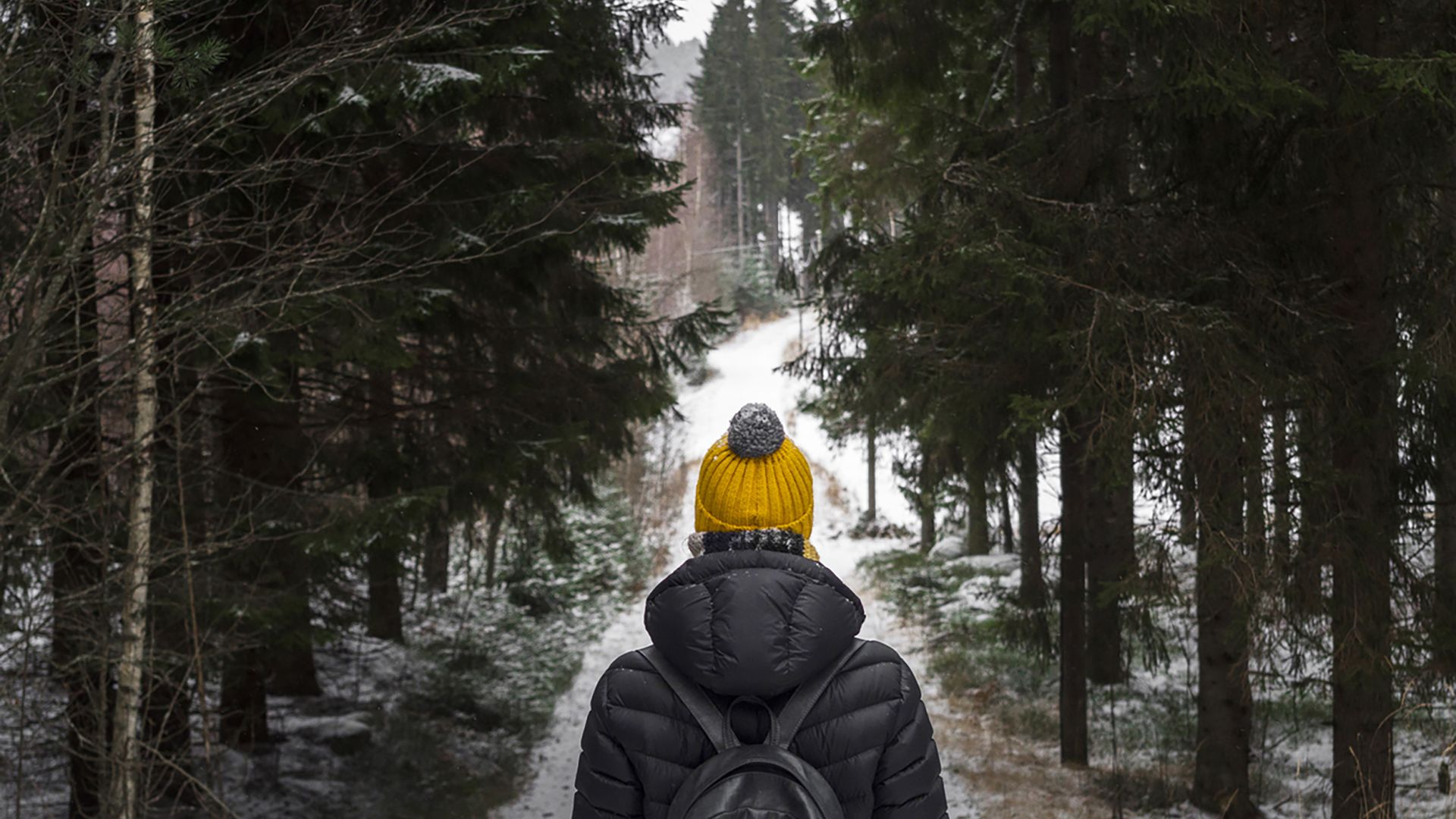 A Person Walking On A Snowy Wooded Path
