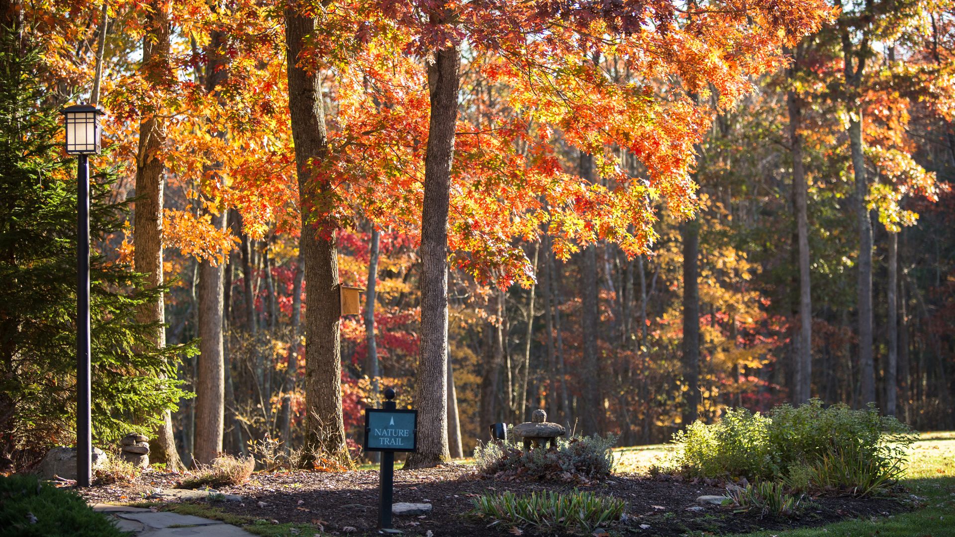 A nature trail entrance in Fall at The Lodge at Woodloch